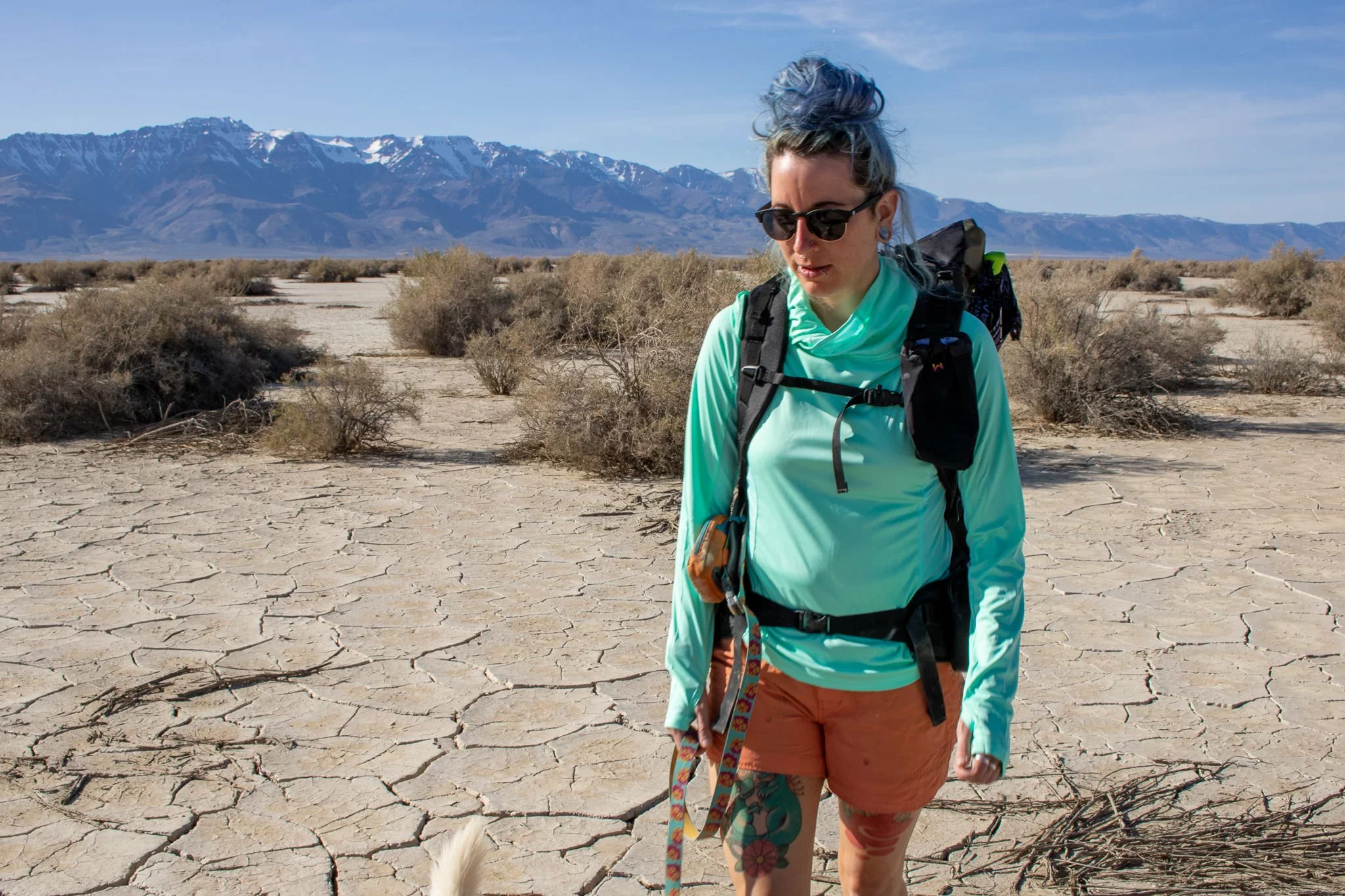 Tek Gear store -Tek Gear store 36